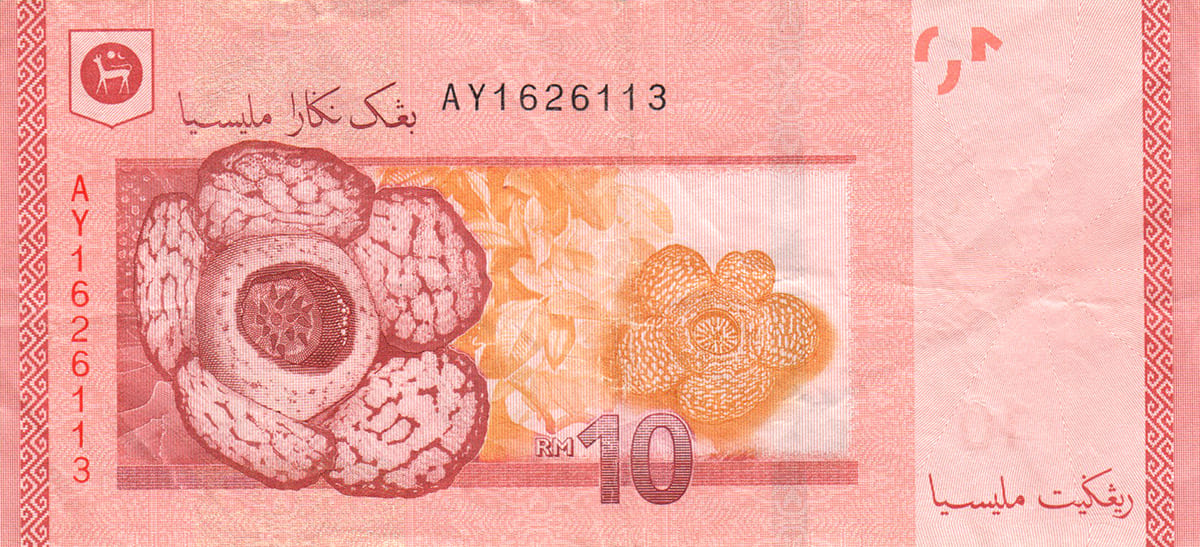 10 ринггит Малайзии 2011